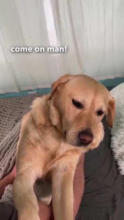 Me refusing to wake up in the morning xDD