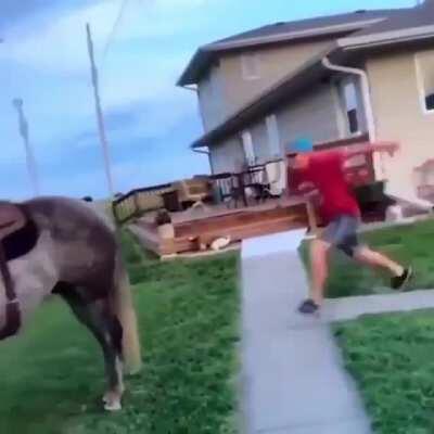 Horse respectfully disagrees with your mounting technique