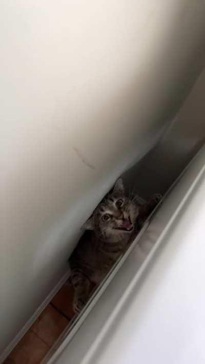 A very normal occurrence lol