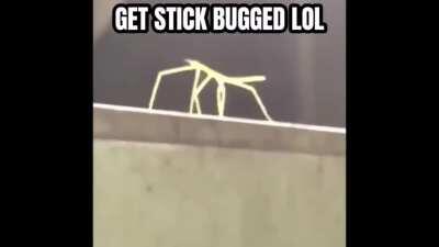 Just a real quick video to help people understand The Blight's Power.