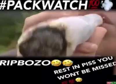 regarding recent events