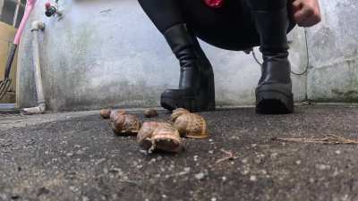 Best video of 2025 🤩