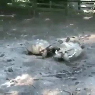 I Got Your Back, Bro!