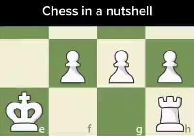 🤣🤣🤣🤣🤣🤣