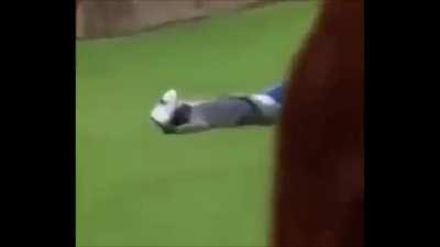 You can tell this has never happened to him before