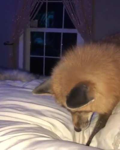 This is some weird snow!