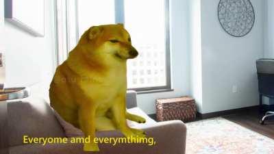 Cheems goes to therapy