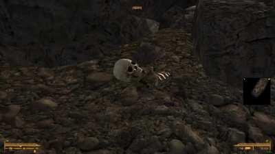 Wild, Wild Wasteland