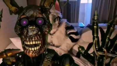 Another meme, cuz I’m awake (11:30 pm) 19