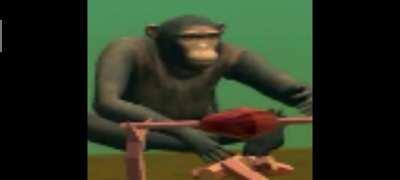 Monkey the 9th class