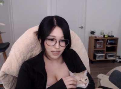 hyoon’s new cat 🐱