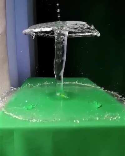 Water mushroom