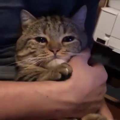 Call Me Back got me like