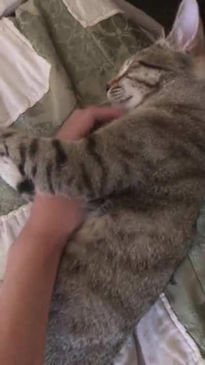 gEt FuCkInG hUgGeD tO dEaTh