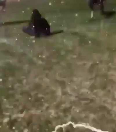 Trying to pop the champagne while on horse back