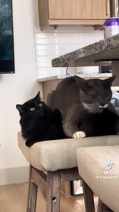 Bro was flabbergasted