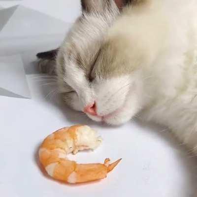 Dreams do come true!