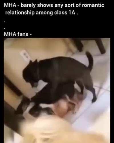 Everybody's lusting over everybody . . .