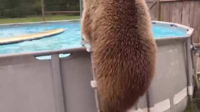 Cutest thing I’ve seen all year