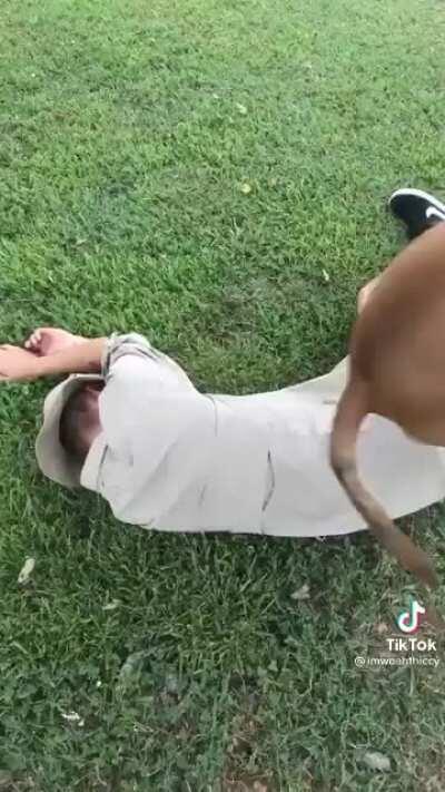 Welcome back to Creature Watch