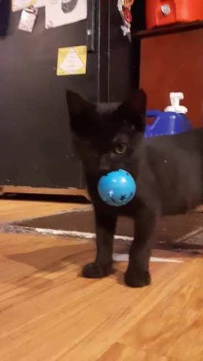 He's got the eye of the tiger..