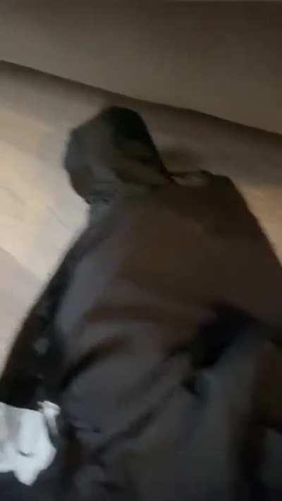 '' Seems like I require assistance once again ''