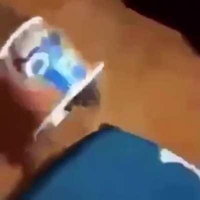 disregard any titles of mine further on