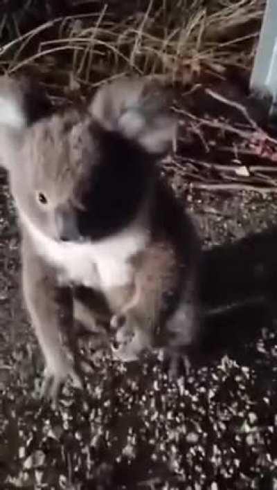 If not friend. Why friend shape? 😅