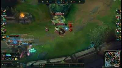 Tahm kench bug