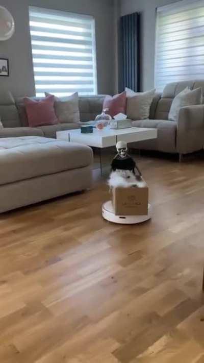 hEaTheN draGS MutILaTed coRPSE aS a mEssAGE To tHe EnEMY