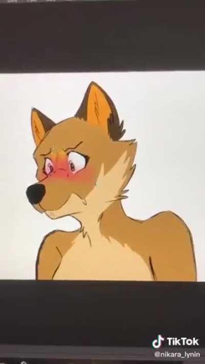 cute_irl