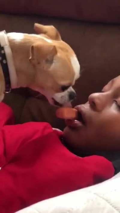 idk what’s more wild the dog or the him sleep w a frank in his mouth