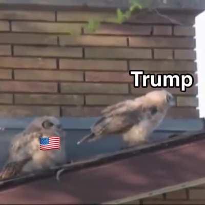 Based on a true story