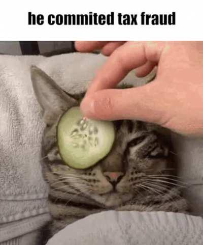 Tax fraud boi