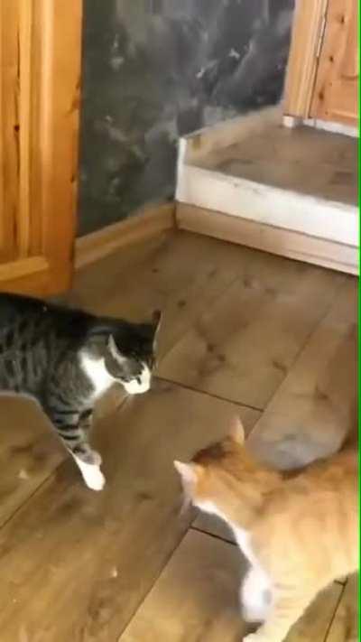 I barely even touched you...