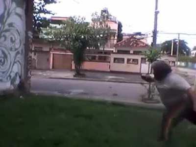 Sifu posted this (capoeira) in response to 