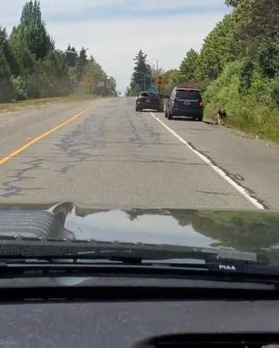 Road rage in Seattle