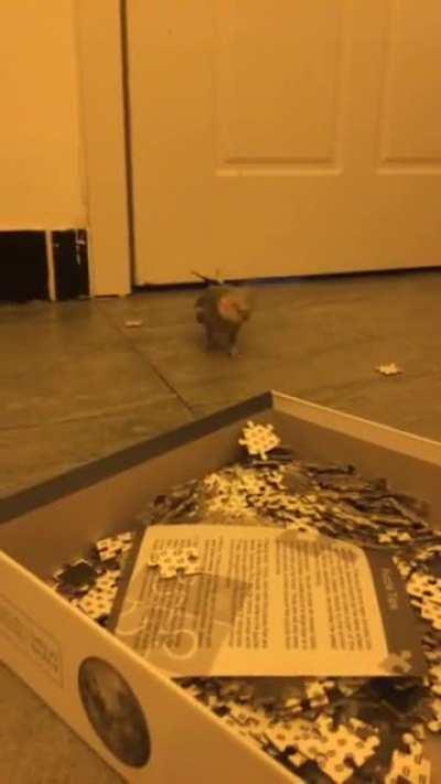 He thinks he is helping