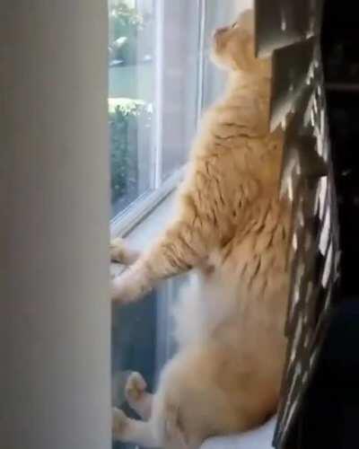 Me during the deployment in the live