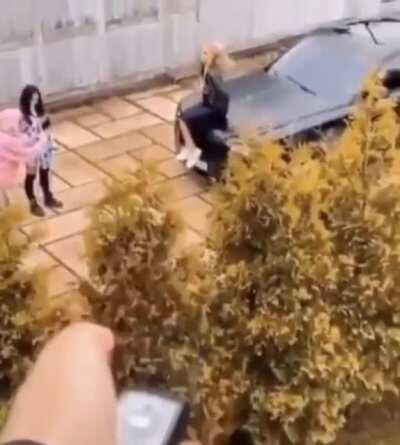 HMC while I sit on a car that isn’t mine.