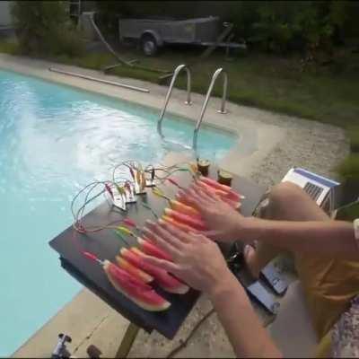 Playing the fruit (sound on)