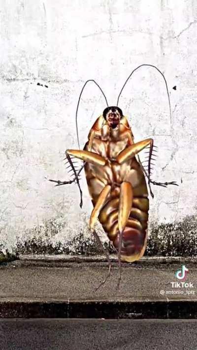 Anyare sayu Antonio😭😭