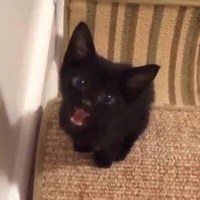 Just do it for God's sake!