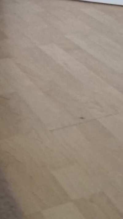 I guess he.. spooked himself..?