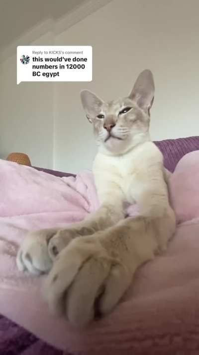 Wunk recreates history