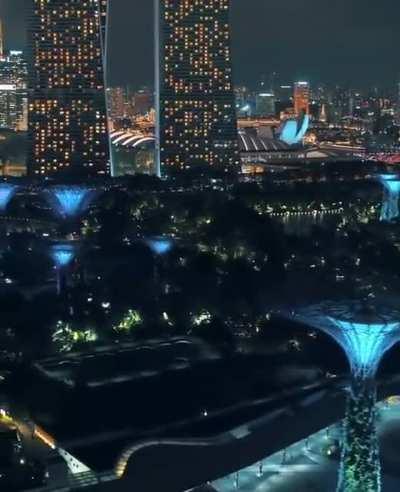 Gardens by the Bay of Singapore at Night 🌃