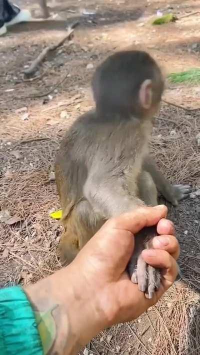 Hey, you're not my mom