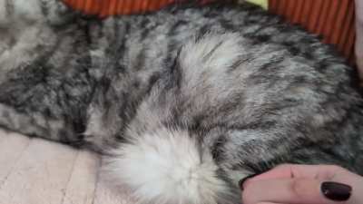 I present: 18 year old Lily and her wibbles.