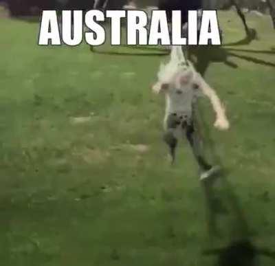 ausralia 😳