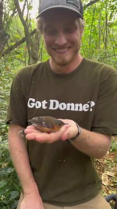 Gimbal spotted in the wild